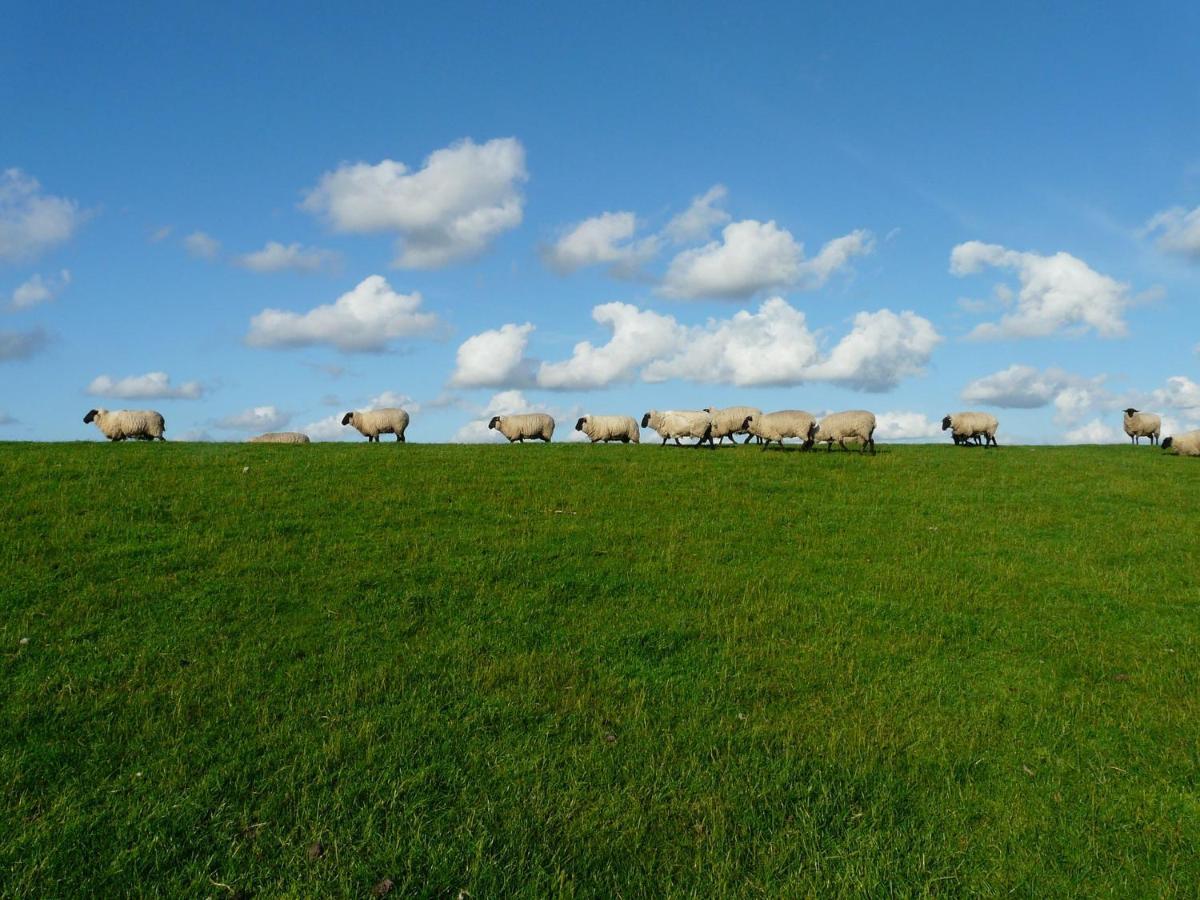 Nordsee Ferienwohnung Nord Dornumersiel Bagian luar foto